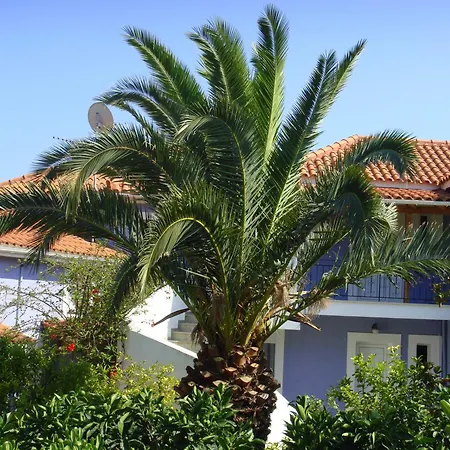 Guest house Eliza 3*