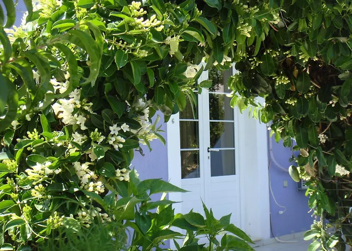 Eliza Guest house 3*